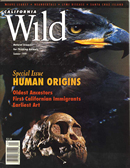 summer 1999 cover