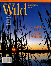 cover spring 2001