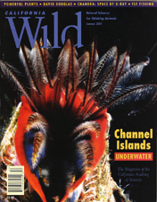California Wild Spring 2002 cover