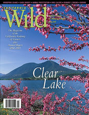 California Wild Spring 2004 cover