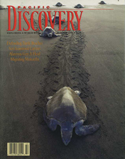 cover fall 1999