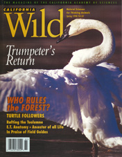 cover fall 1999