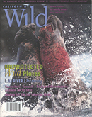 cover summer 2000