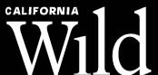 california wild logo