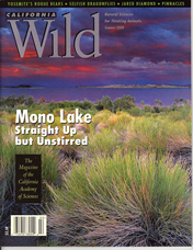 summer 2000 cover