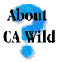 About California Wild