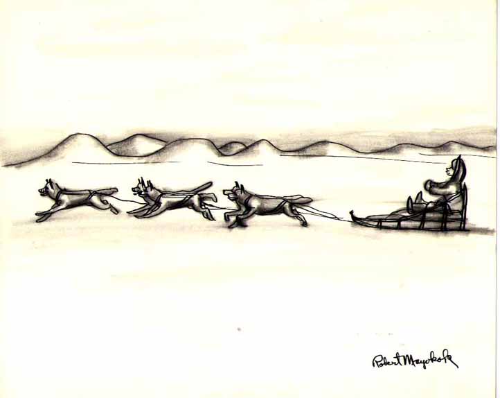 Untitled, CAS 0370-1011