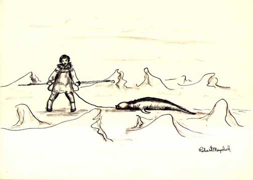 Untitled, CAS 0370-1013