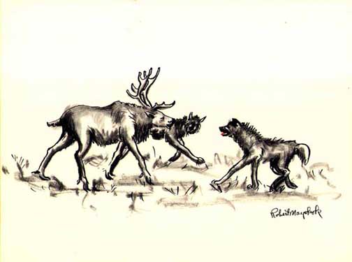 Untitled, CAS 0370-1015