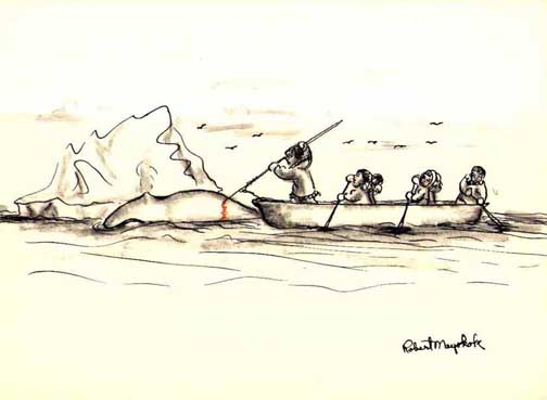 Untitled, CAS 0370-1016