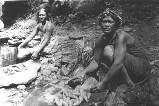 Women with taro root