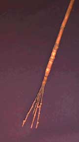 Fishing spear, CAS 1988-0007-0005
